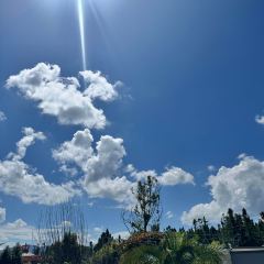 有芬餐館張用戶圖片