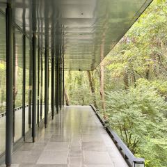 PURPLE MOUNTAIN GARDEN 여행 사진