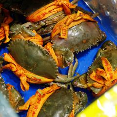 ZHENGLIANG SEAFOOD 여행 사진