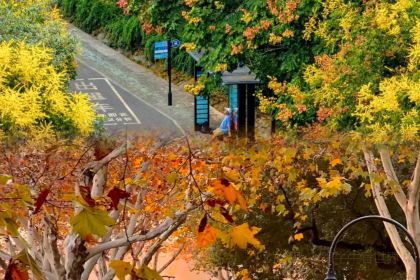 香鲜阁·弄堂里的海鲜排档