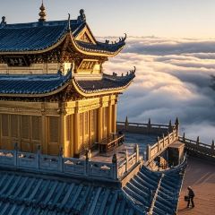 Dongmendoufunao User Photo