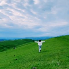 胖子鱼·鲜鱼火锅(全国总店) User Photo