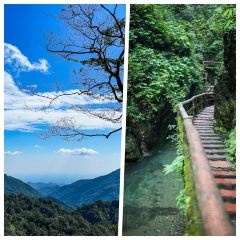 TU ZAO REN JIA CHAIHUO CHICKEN User Photo