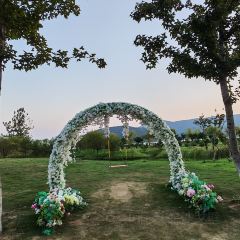 枇杷熟了coffee User Photo