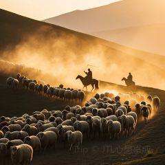 特色羊排揪片子清真張用戶圖片