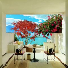 IN MY HEART User Photo