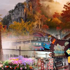 LONG LIN LU DI YI GU NIU ROU SHANG User Photo