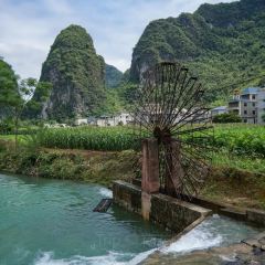 DING AUNT User Photo