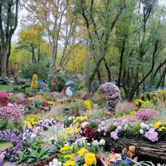 LIBAIXIE·SUZHOU User Photo