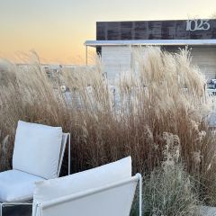 Bar Lotus User Photo