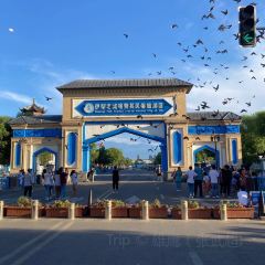 古兰丹姆冰激凌店 User Photo