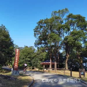 大棠楓香林
