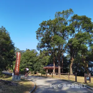 大棠楓香林
