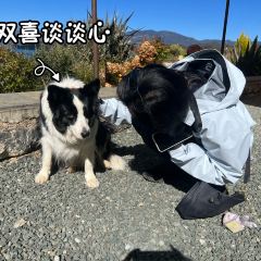 千山继·坨坨小馆·传统云南菜 User Photo