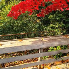 VERTERE Taproom User Photo