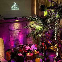 50mil Cocktail&whisky pub User Photo