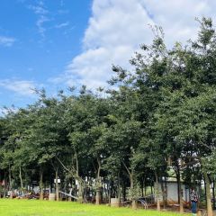 Fengyuegenongyeguanguangyuan User Photo