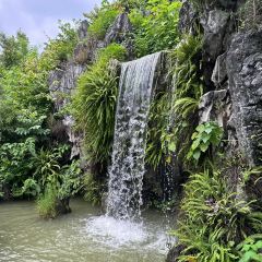 luckincoffee瑞幸咖啡（華貿大廈店）張用戶圖片