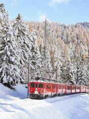 Bernina Express