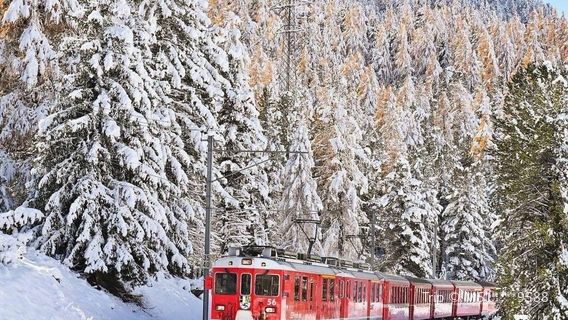 Bernina Express