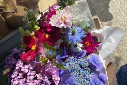 The Honey Pot PZ Ltd