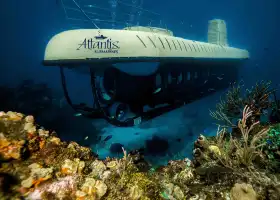 Atlantis Submarines Waikiki