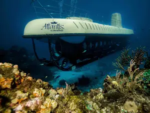 Atlantis Submarines Waikiki