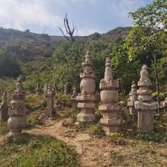 翠云楼 User Photo
