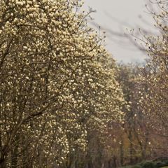 白溪口土菜馆 User Photo