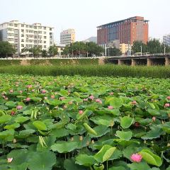 Yijunge (weiduoliya) User Photo