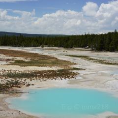 Mammoth Hot Springs Dining Room 여행 사진