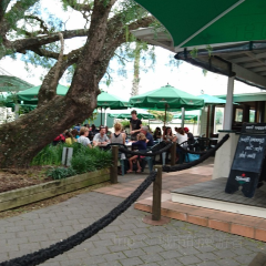 Pepper Tree Restaurant and Bar User Photo