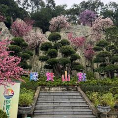 FEI SU SHAO E 여행 사진