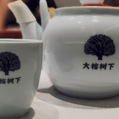 大榕树下(东方宝泰店) User Photo