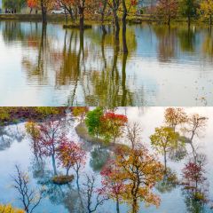 Sage Hall Homestay User Photo