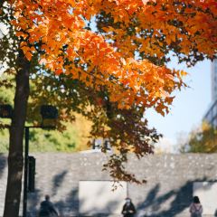 麥當勞（常州西瀛裡店）張用戶圖片