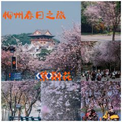 曹妹螺蛳粉(柳锌总店) 여행 사진