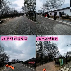 清雅茶苑(山湾里店) User Photo