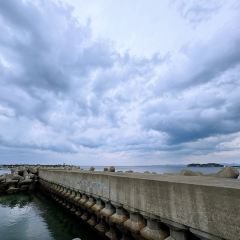 海鮮壽司とれとれ市場張用戶圖片