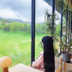 1피트 가든 여행 사진