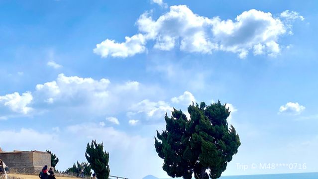 wang hong gu du de shu