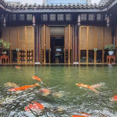 问山海 User Photo