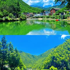 小杭坑2号营地 User Photo