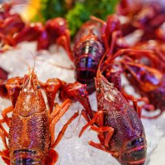 沪九哥·羊蝎子牛腩煲龙虾烧烤(大宁店) 여행 사진