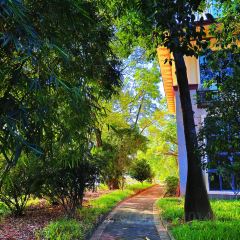 桃花半島飯店（惠州水口湖濱公園店）·桃花半島會所張用戶圖片