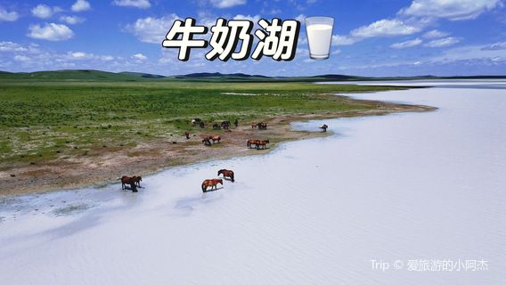 Milk Lakeside