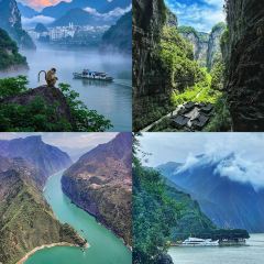 竹园䀇子鸡旗舰店 User Photo