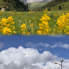 鲁朗石锅城·松茸天麻石锅鸡 User Photo