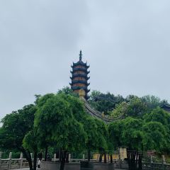 無錫魯能萬豪飯店·萬豪中餐廳張用戶圖片