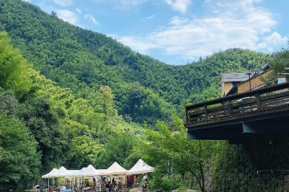 Tonglurendapaidang (yangguang)